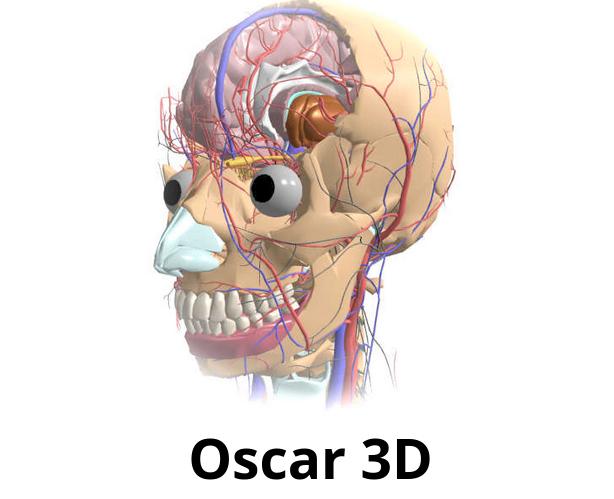 oscar3D.jpg